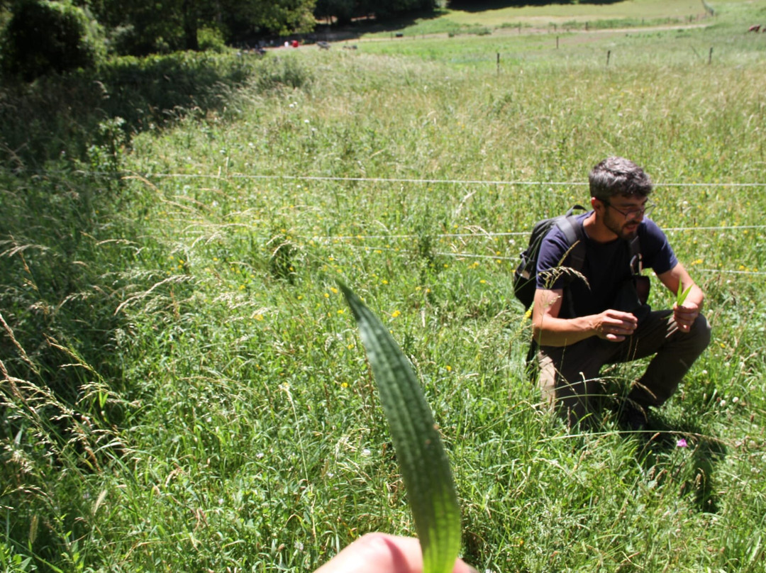Wild Food Uk-Byford必去景点