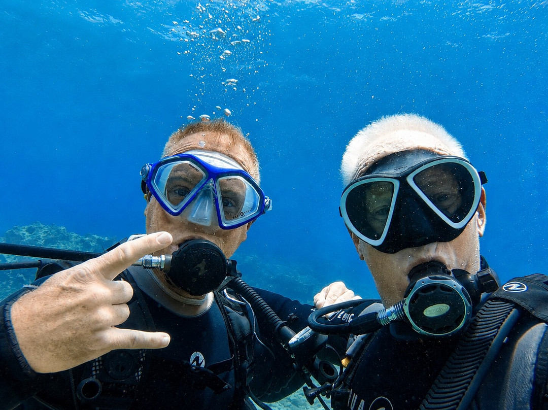 Marine Divers-帕福斯必去景点