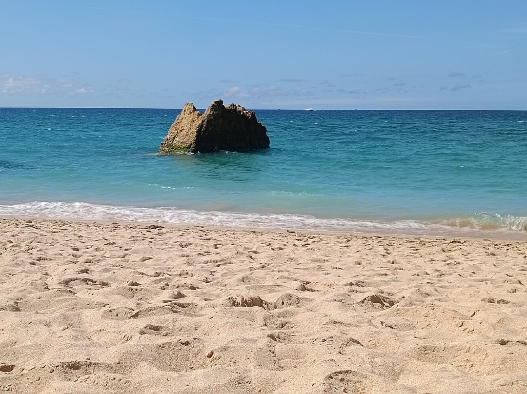 Praia dos Três Irmãos-阿沃必去景点