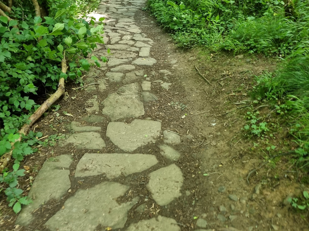 Hareshaw Linn Walk-Bellingham必去景点