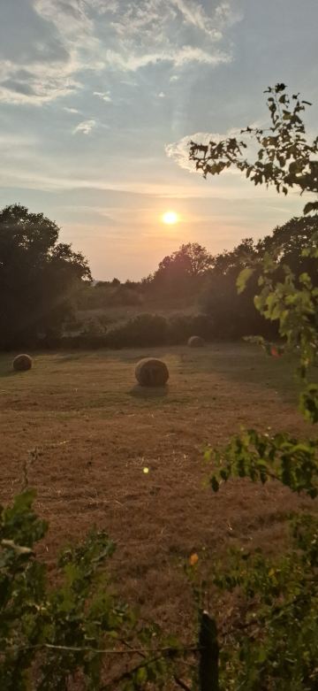 Agriturismo la Gioia-旅行者