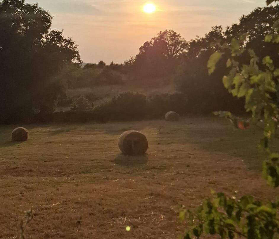 Agriturismo la Gioia主图