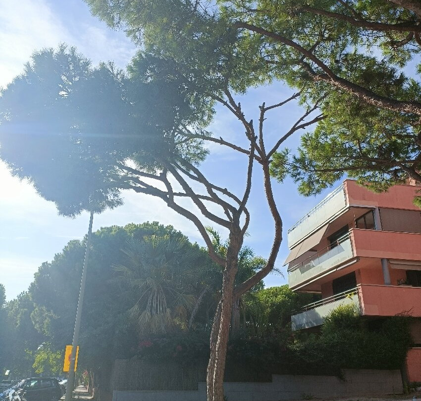 Playa Gavà-加瓦必去景点