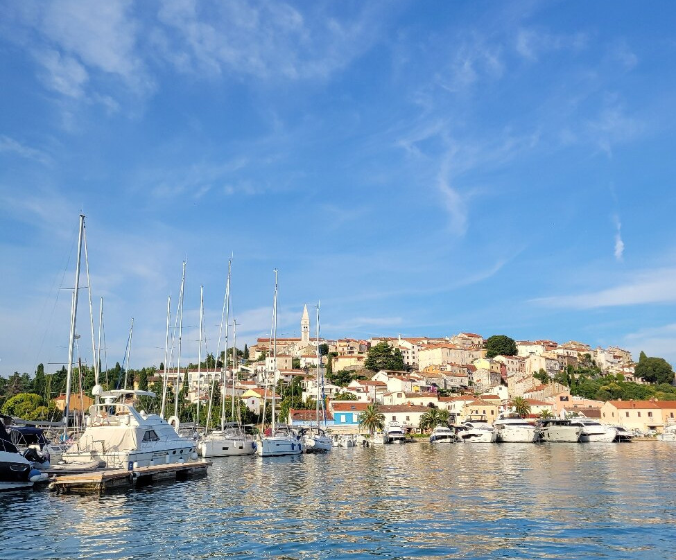 Dolphin Tours Istria-冯塔纳必去景点