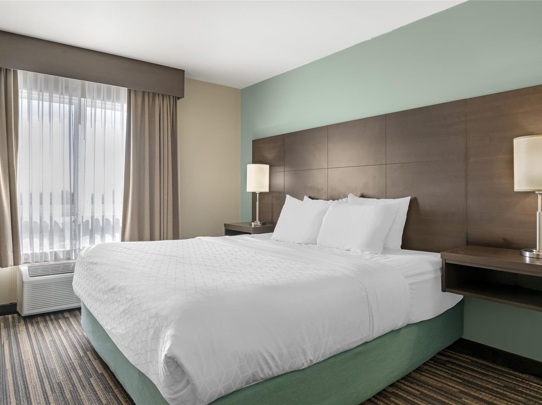 新斯科舍酒店住宿-Best Western Plus Dartmouth Hotel & Suites