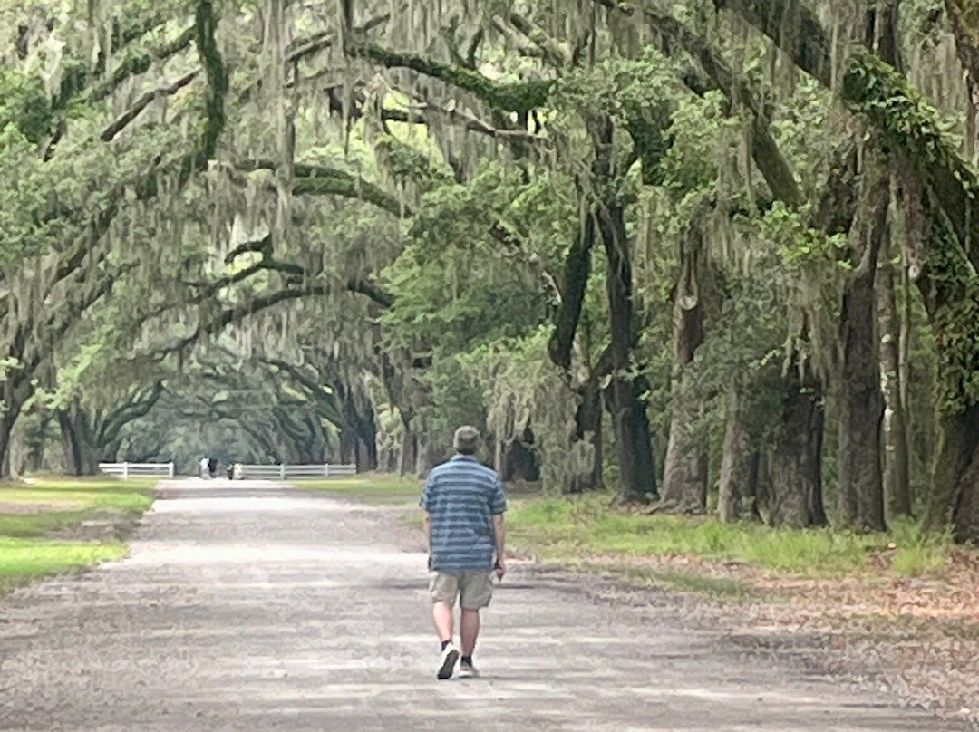 Wormsloe Historic Site-萨凡纳必去景点