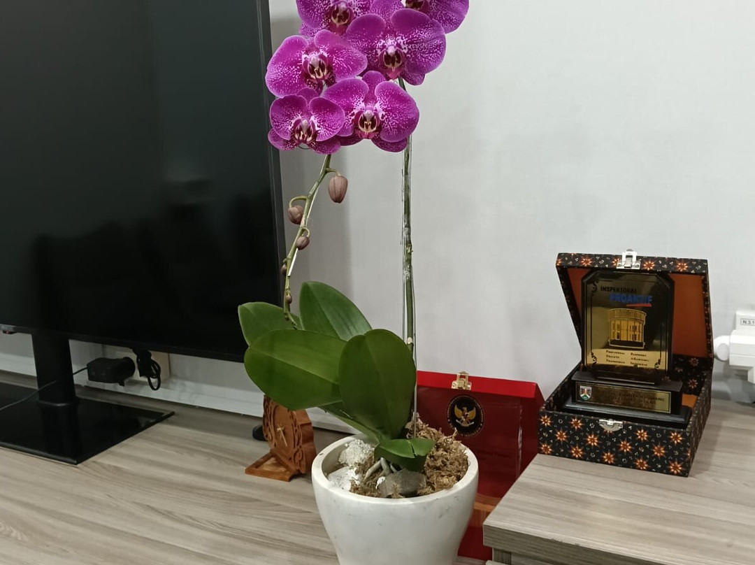 阿斯顿茂物酒店及度假村主图