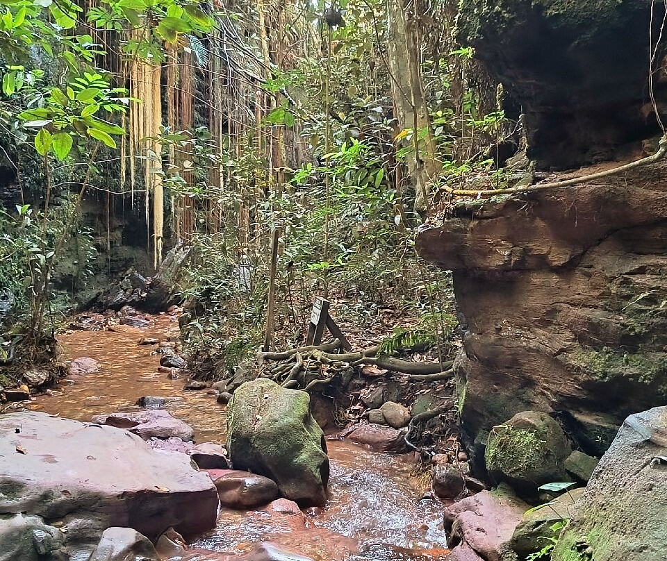 Cânion Sussuapara-Ponte Alta do Tocantins必去景点