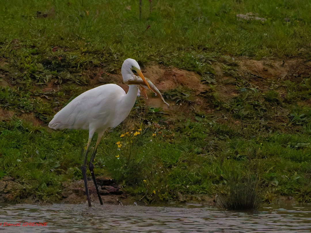 Domaine des Oiseaux-Mazeres必去景点