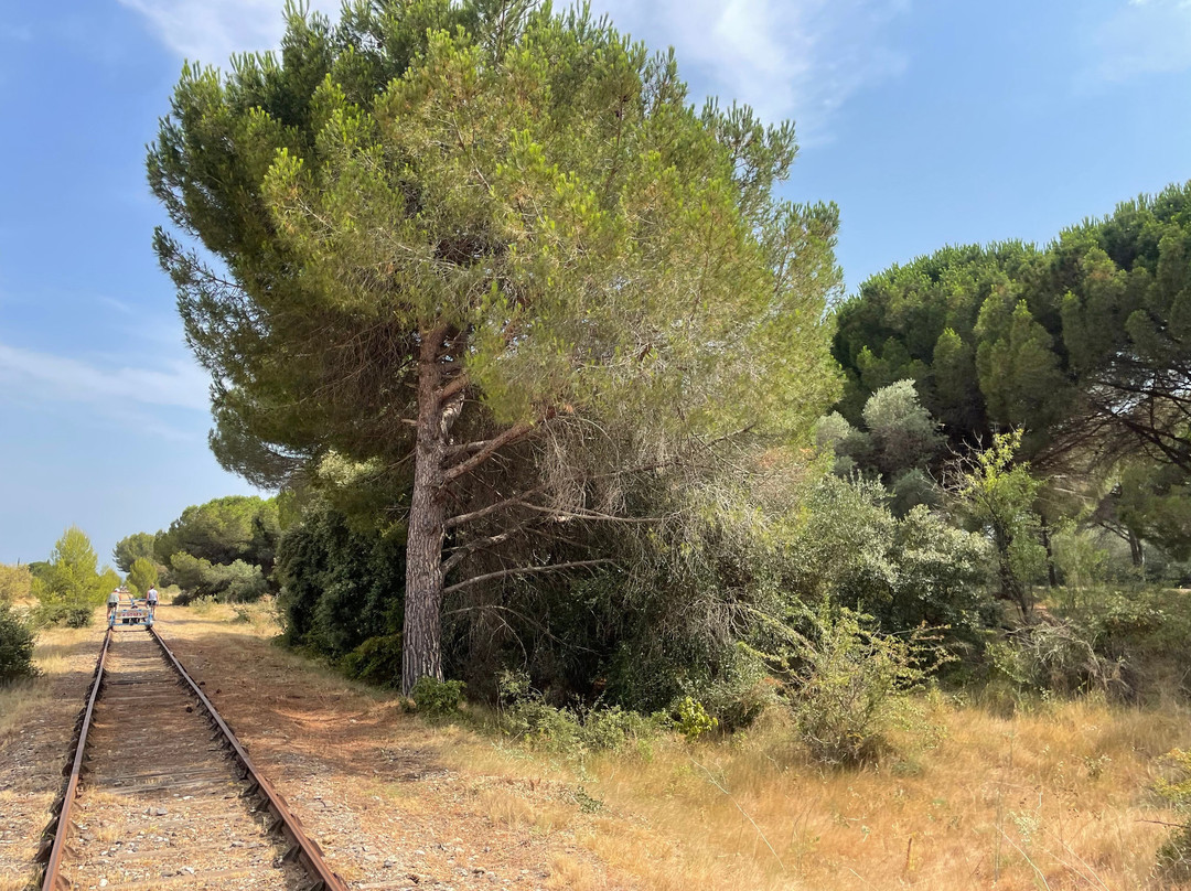 Vélorail Du Canal Du Midi-Salleles-d'Aude必去景点