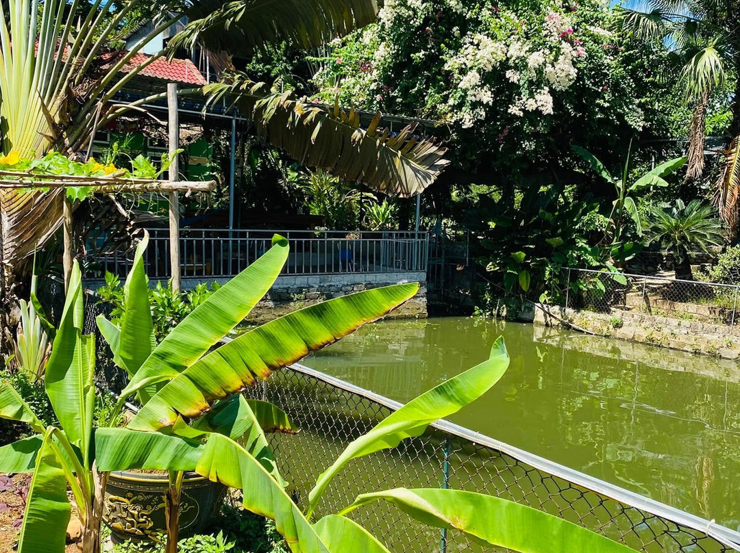 Dong Du Village Lakeside Farm Stay-Nghia Thuan必去景点
