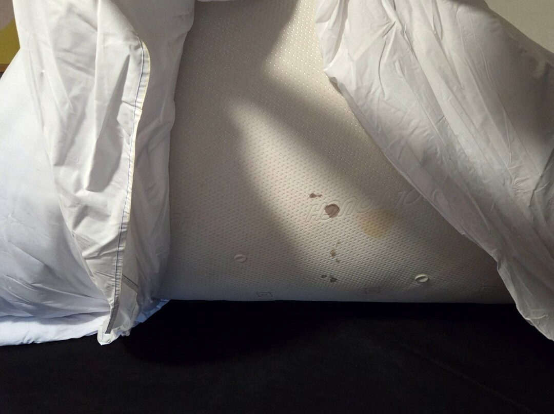 Lomond Park Hotel主图