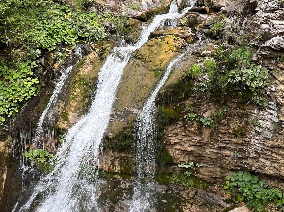 Cascade D'ardent-Montriond必去景点