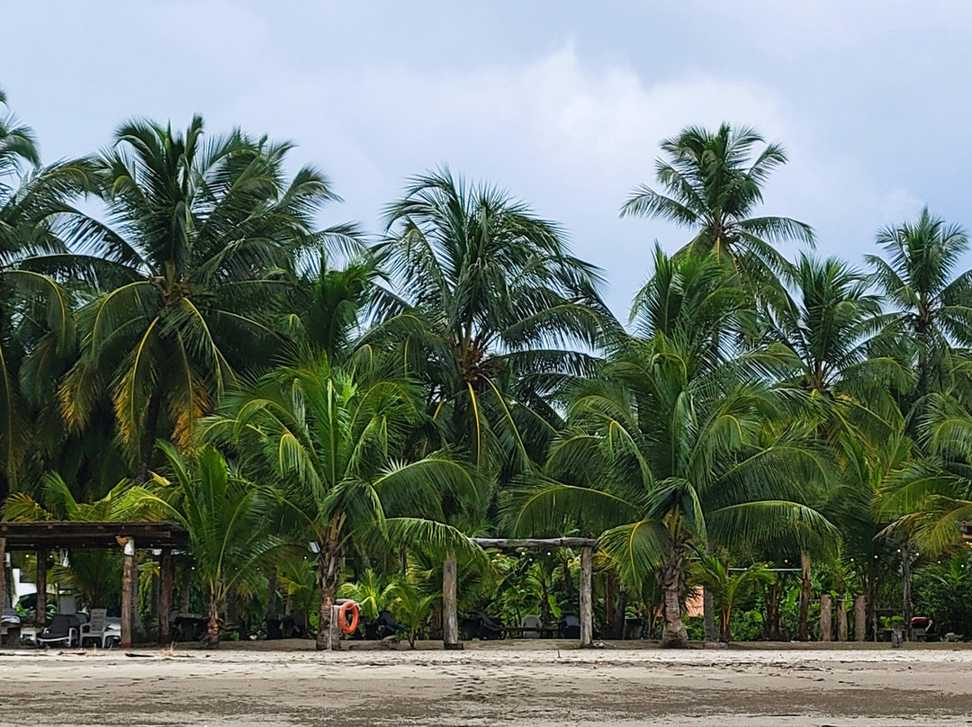 Retire in Panama Tours | Move to Panama | Panama Relocation Experts-波魁特必去景点