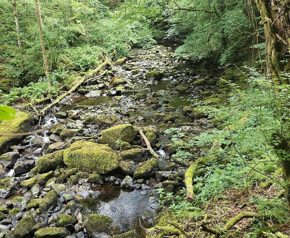 Torrent Walk-Dolgellau必去景点