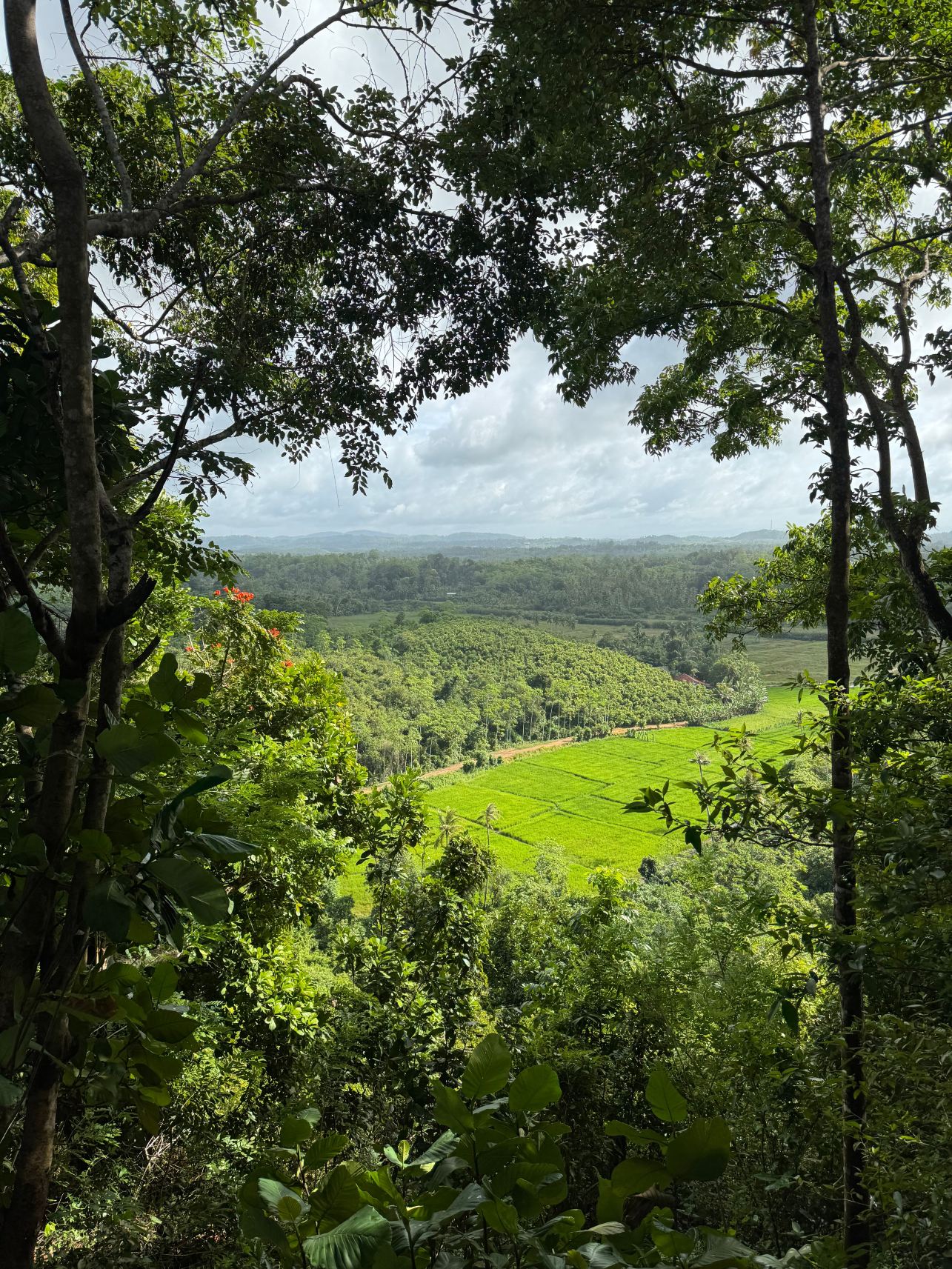 米瑞莎山丘度假村-旅行者