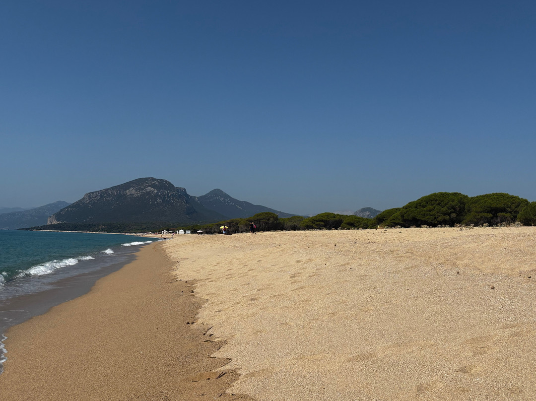 Spiaggia Di Berchida-Siniscola必去景点