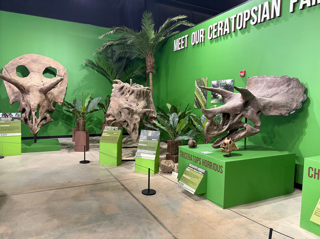 Indiana Dinosaur Museum-南本德必去景点
