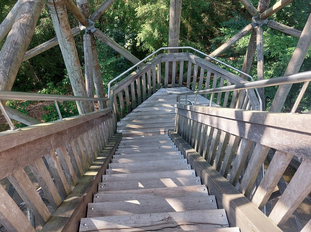 Park Berg en Bos-阿珀尔多伦必去景点