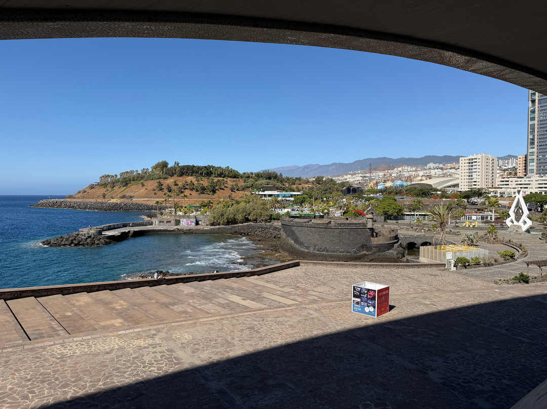 Tenerife Auditorium (Auditorio de Tenerife)-圣克鲁斯-德特内里费必去景点