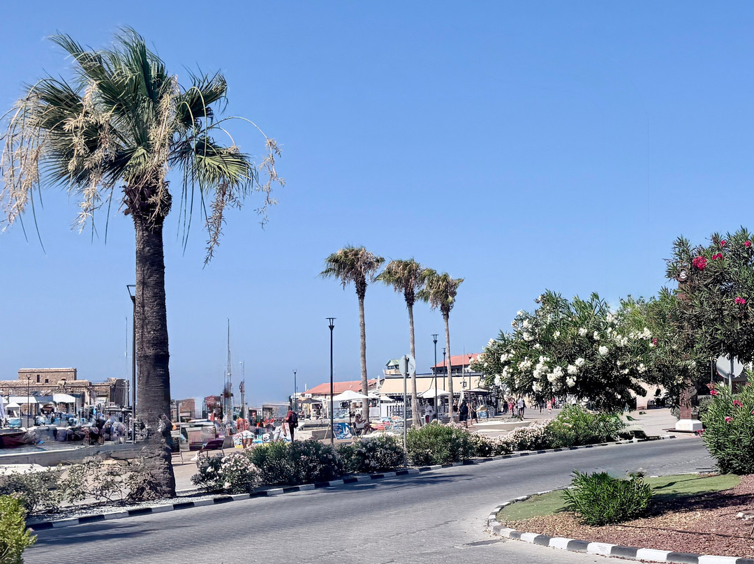 Paphos Harbour and Port-帕福斯必去景点