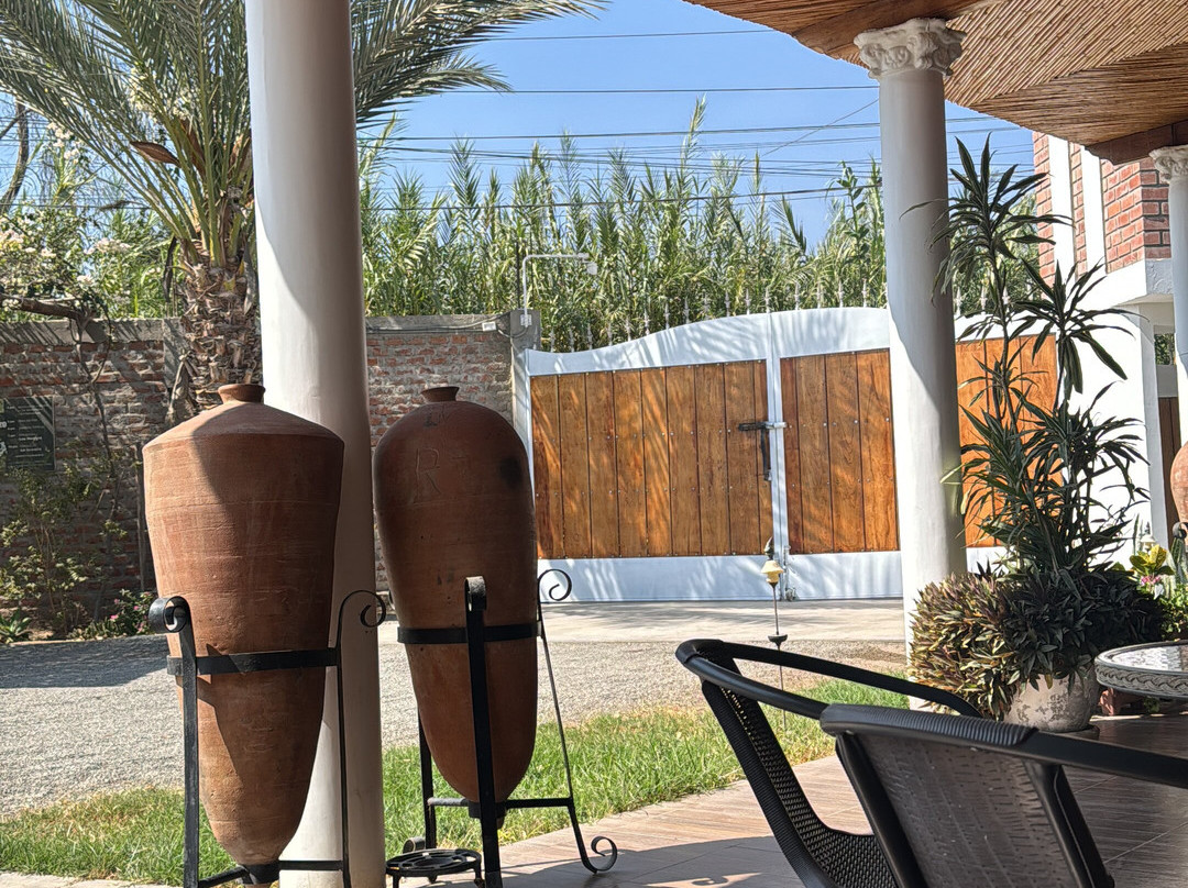 Bodega Y Viñedo Sotelo-伊卡必去景点