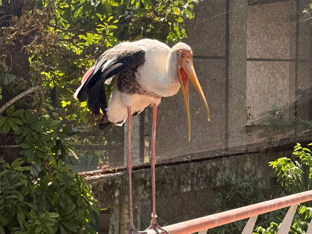 Sayaji Baug Zoo-瓦都达拉必去景点