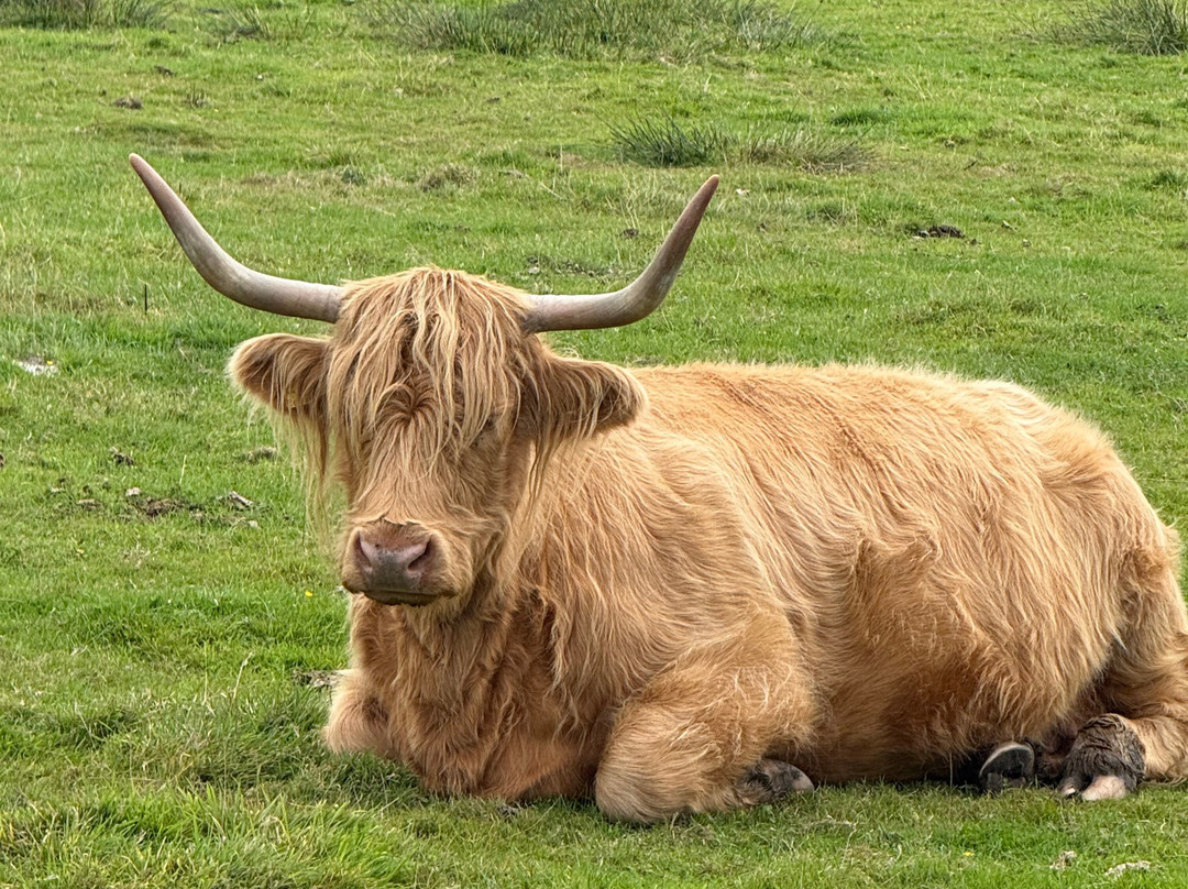 Monty's Farm Park-Dumbarton必去景点