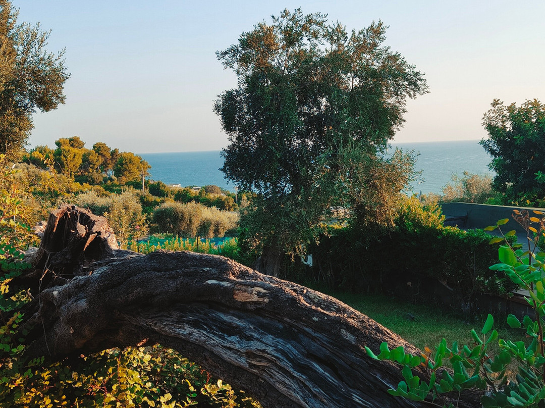 Villaggio Uliveto - Family Experience主图