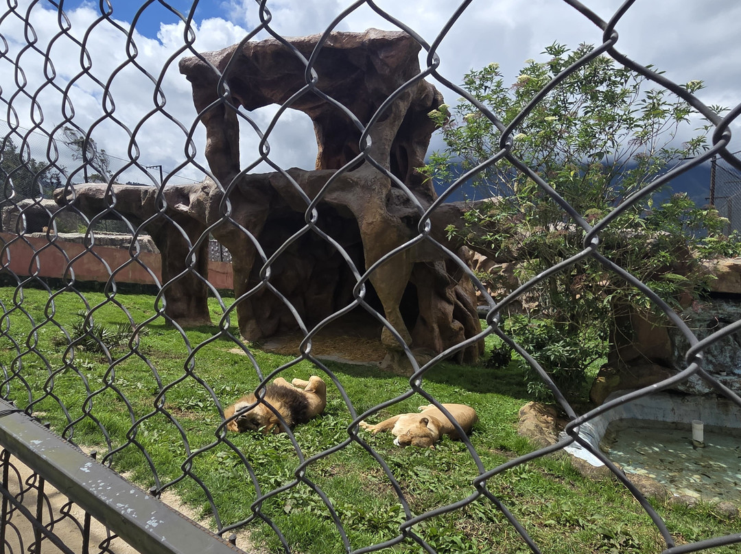 AnimalPark-巴尼奥斯必去景点