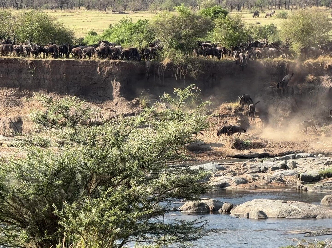 Unlimited Expeditions - The Soul Of Tanzania-阿鲁沙必去景点