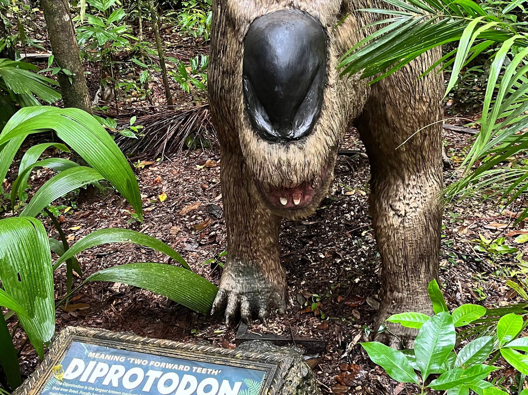 Daintree Discovery Centre-Cow Bay必去景点