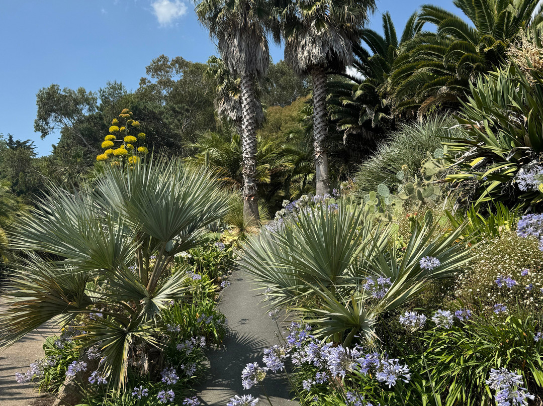 Ventnor Botanic Garden-文特诺必去景点