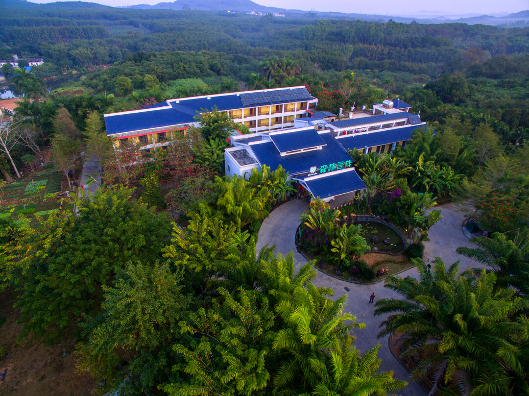 森林客栈(儋州植物园热科院海南大学店)