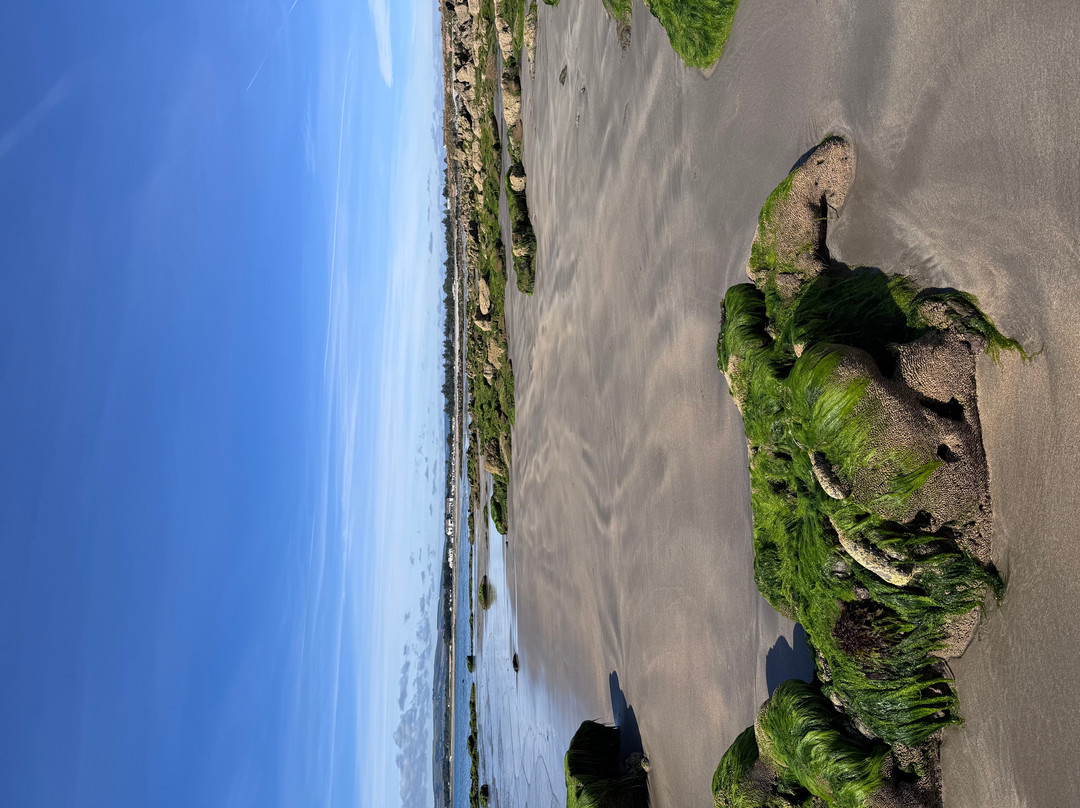 Clonea Beach-邓加文必去景点