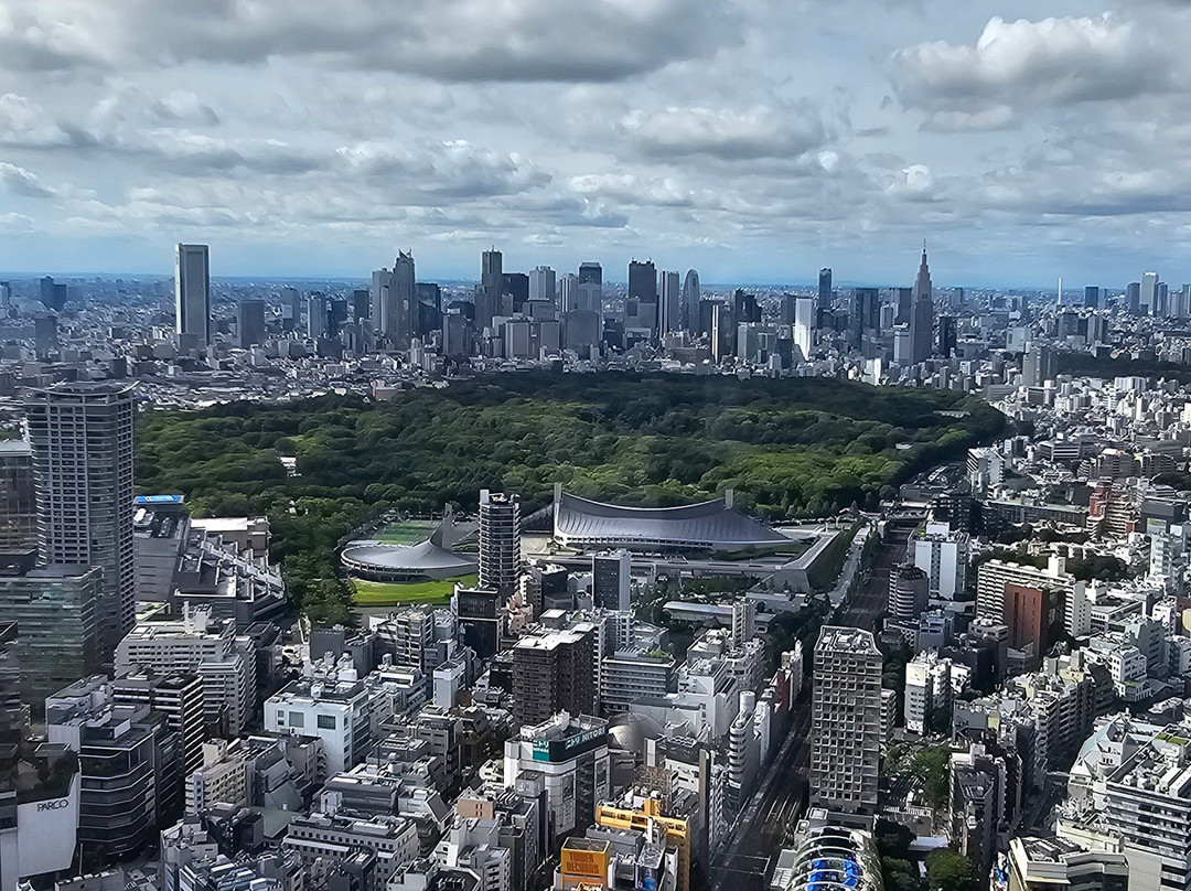Shibuya Sky-涩谷区必去景点