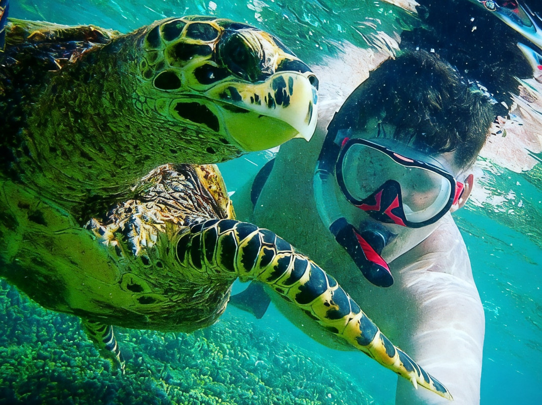 图德多新微风旅馆