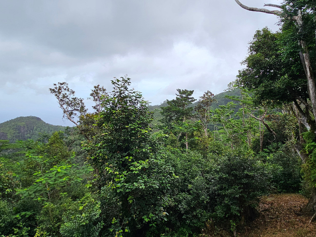 Mission Lodge Lookout-维多利亚必去景点