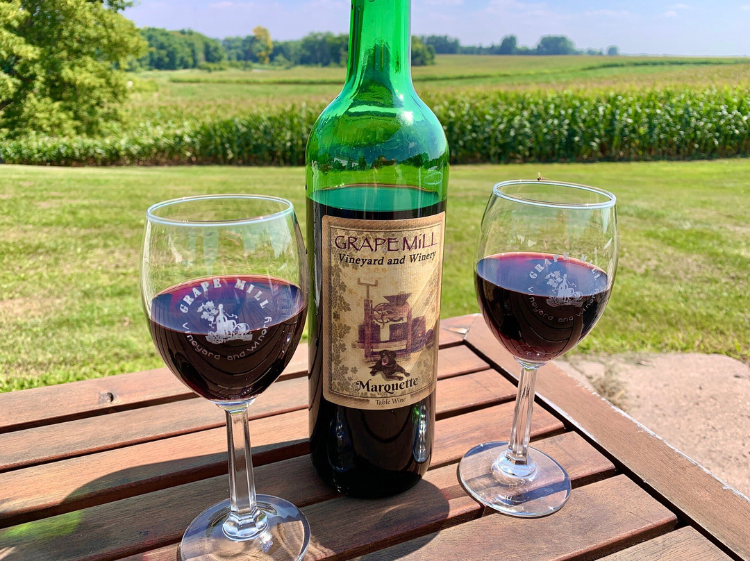 Grape Mill Vineyard and Winery-East Grand Forks必去景点