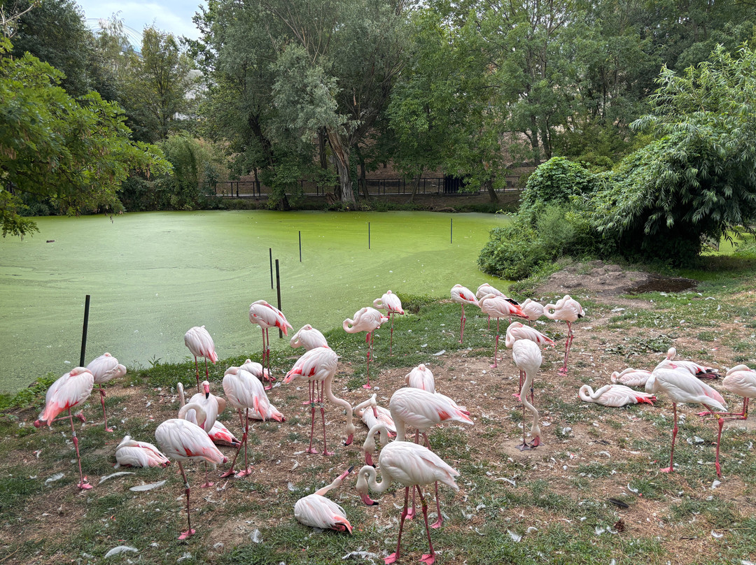 ZOO Bratislava-布拉迪斯拉发必去景点