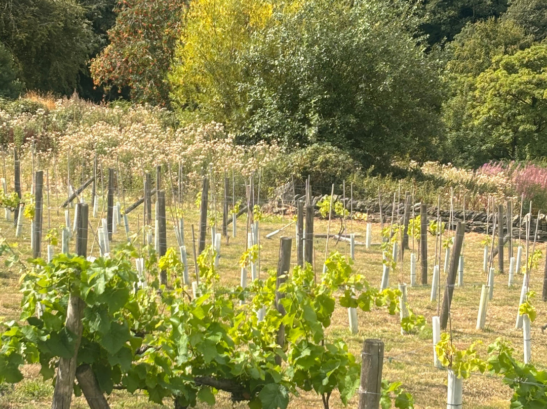 Holmfirth Vineyard-Holmfirth必去景点