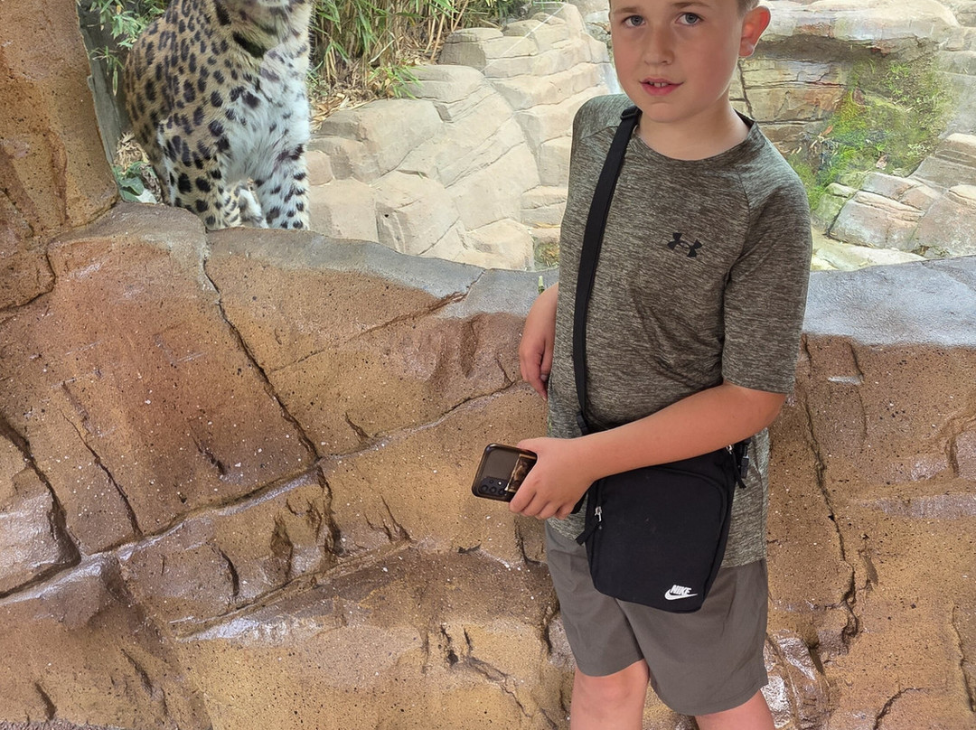 Colchester Zoo-科尔切斯特必去景点