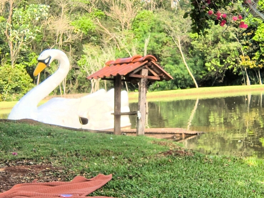 Paraiso Das Orquideas主图