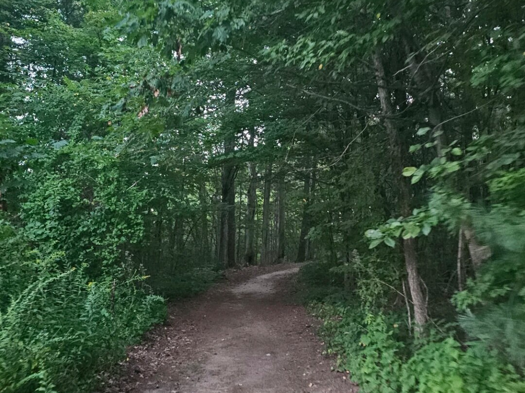 Kingston State Park-Kingston必去景点