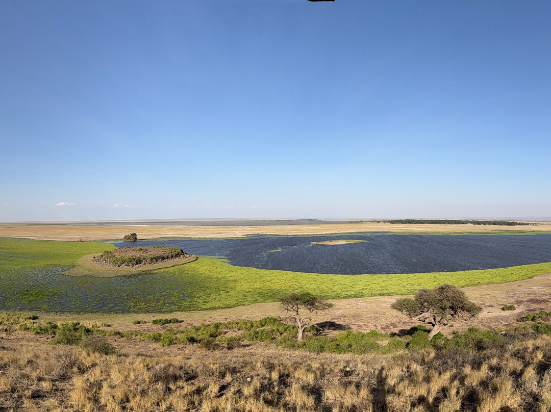 Gattokko - Safari e Tours in Kenya-瓦塔木必去景点