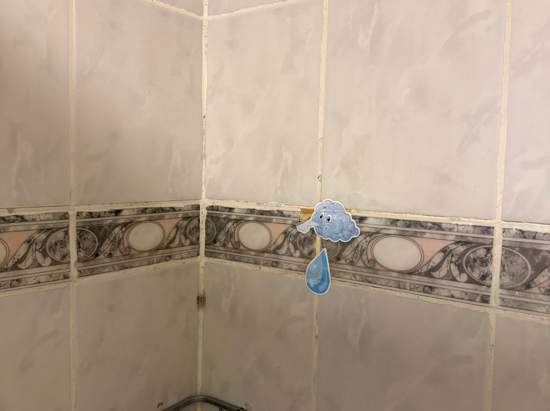 跨大西洋海滩贝尔迪比 - 全包主图