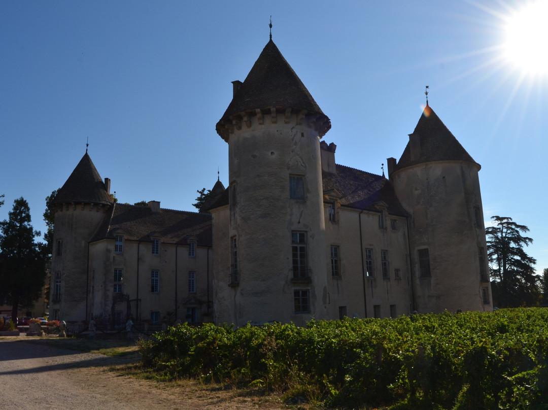 萨维尼-勒勃恩城堡-Savigny-les-Beaune必去景点