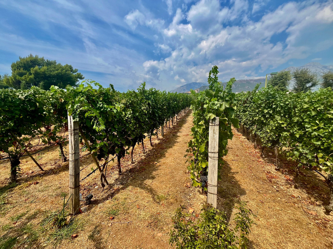 Savina Winery-赫尔采格诺维必去景点