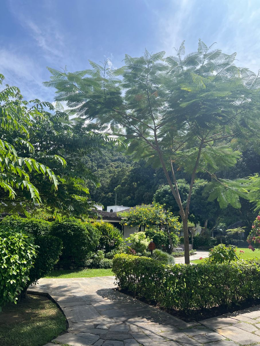 鱼尾度假屋-Annapurna集团-旅行者
