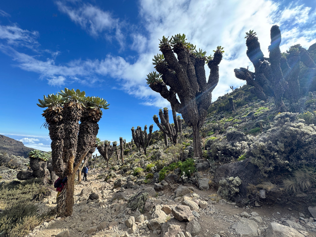 Ambassador Trekking Safaris-Sakina必去景点